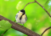 �������