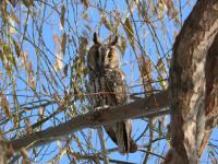 ���������� ���