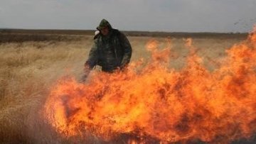 ������������ ���� ������� �� 90%