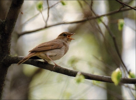 ����� � 2011: ���� �� ����. 27 ������