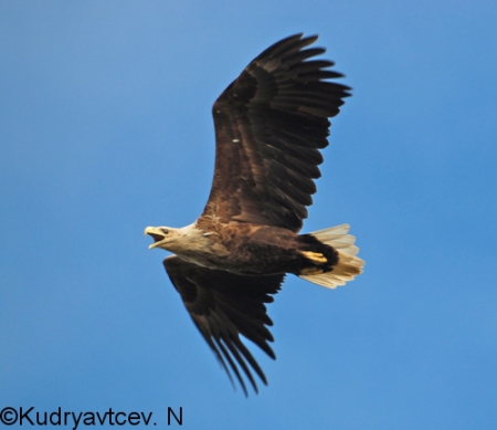 ����������� ��������� ���� � �� "������� �����"