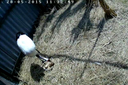 � �������� �������� �� ������������� �����  �������� ������ ������.