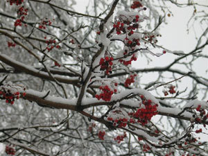 � ��������� ����� ��������� �����!