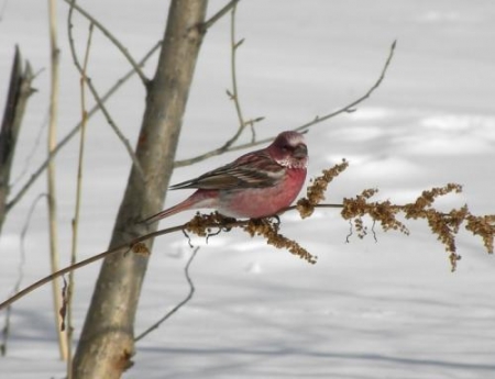 ��������� �������� � ���������