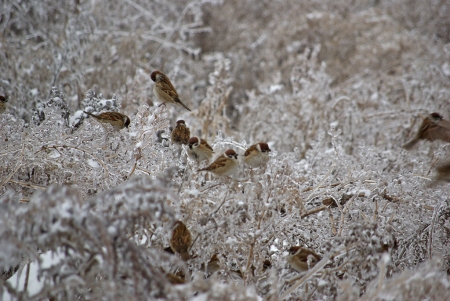 ������  ����� ������