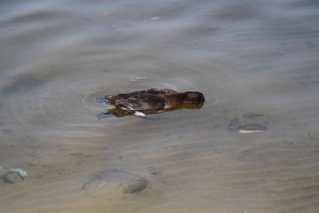  ������� ����-2010 � ������������: � ������ ������ ����