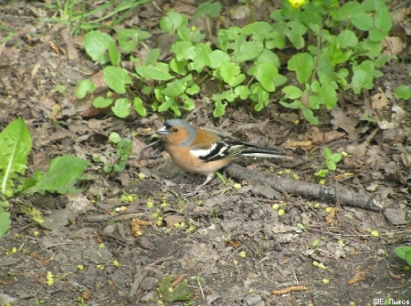 �����  � ��������������� �������