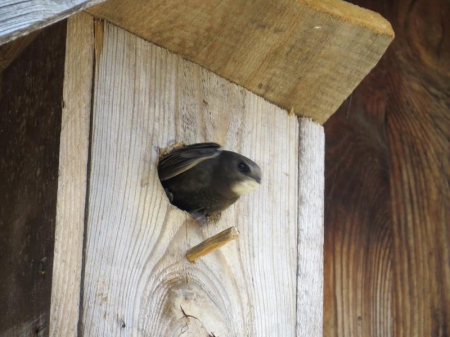 ��� ������ ����������