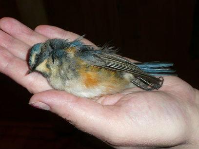 �� ������� ������� ������ �����