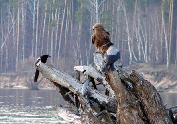 ��������� �����-��������� ��������� � ����� ������ � ������