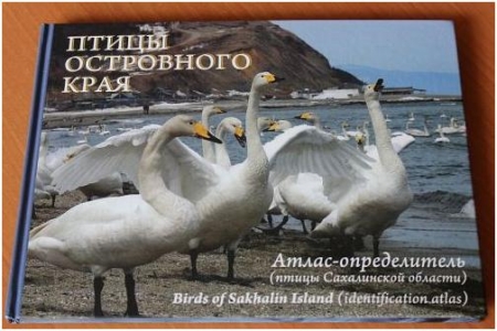 ����� ���������� ����