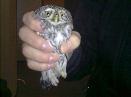 �  ������ ������ ����������� ������