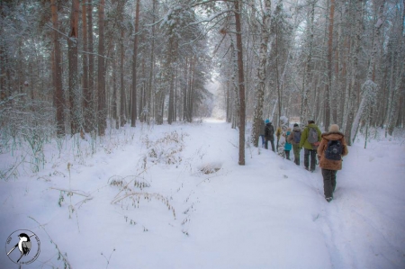 ��������� ����������� ����������� �������� ���� "Parus" � "������������� �������������� ����" 