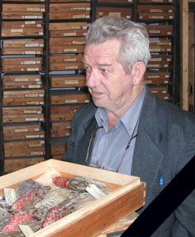 ���� �� ����� �.�. ��������