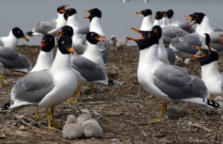  ������� � 2013 � ��������� ������� �������� ��� ������ ������ ����