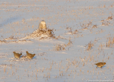 �����  ������ ������ ���� � ������� 2014 ����