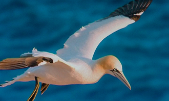 ����  ����� � ��������