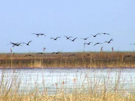 ����� ����� ������������  �� �����