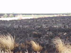 ������ ���������.