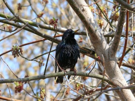 ��� �������� ������ ����