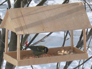 � ������� ������������ ����� "�������� ��� ����"