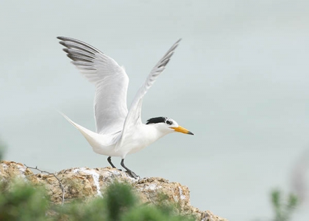 � ��������� �������� ������ ��������� �������