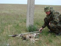 ������� ����� ������� ���������� ������ � ��� � 2011� 