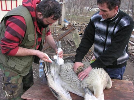 ������� �� ��������� ��������� 