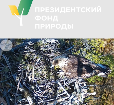 ������������� ����������� ������� � �������� ���� ��������� ������������� ������ �������