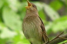  ������ �� ����������� ������� �������� �������?