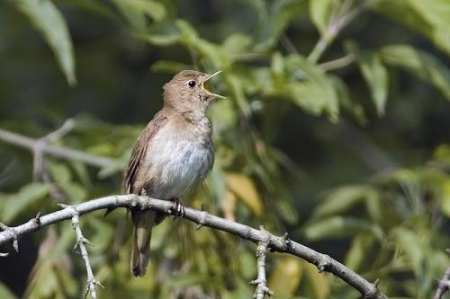 ������� � ������������: ��������� �� �������� �����������?