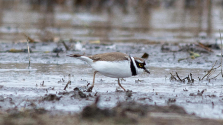 "�����-2023: ���� �� ����" - ������ �������� (����� 1-20 ����� ������� ������� �����)