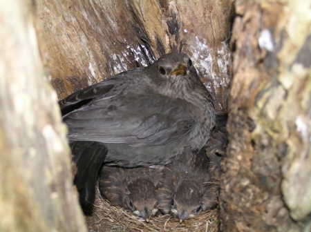 ����� � 2012: ���� �� ����.  28 ������