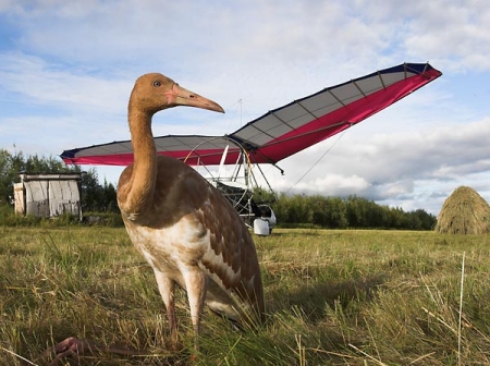 ��������� ������� ������� ���� ��������