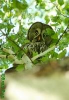 ���� � ������ � �������