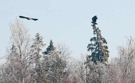 ������������, ������!