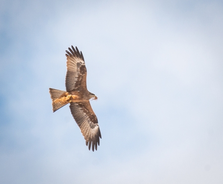 �����-2020: ���� �� ����, 15 ������