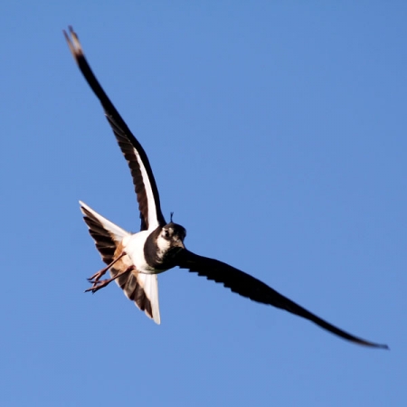 ����� � ��������������� �������