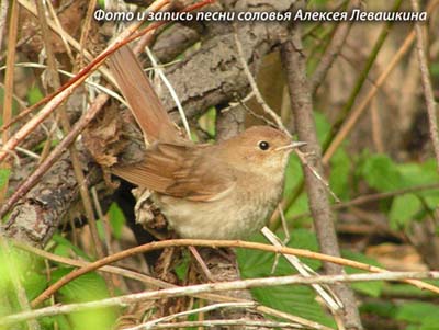 ���� ������ ���� 22 � 23 ��� �������� � ������ ��������� "���������� ������"