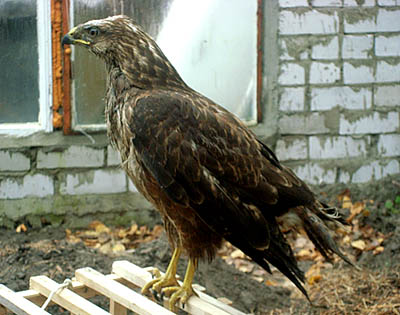 ��������� ������ ����� ������� ������� � ������ ������ �����