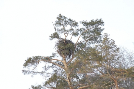 ������ ���������� � ���������� �������