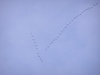 �������� ������