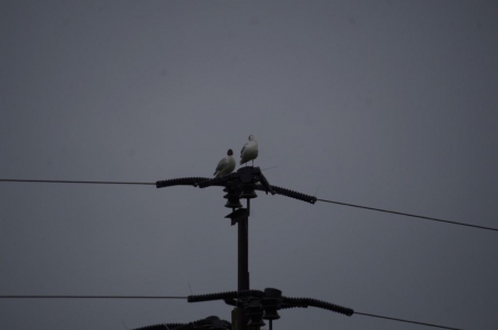 �������� ������ ���� ������������� ����������� �� �������������� �������� � ����������� ������ 