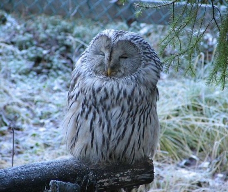 ���� ����� ��� �� ����� � ��������� �����