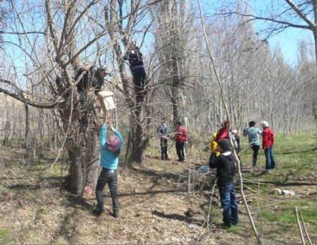 ���� ���� � ����������� �������������