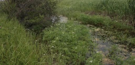 � ����� �������� ������� ��������� 