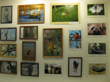 ��������� ����� XI  ������������-�������� ��������� � ������������ � ������ 