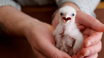 30 ������� ������ �� ����������� 14 ��� �������