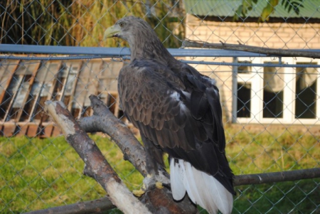 ��������������� ��������� ������� �������������� ����������� ������ �������� ���� � ����������� �� ������ ���������� �����