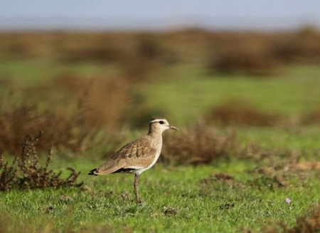 �������� �� ��������� ����������� ������